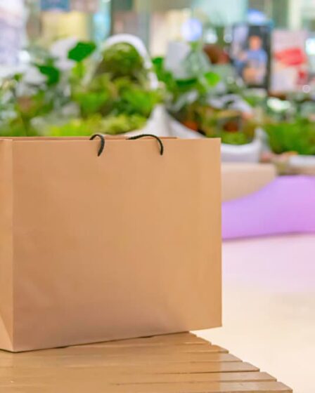 Sacolas de papelão para lojas: o toque que encanta seus clientes